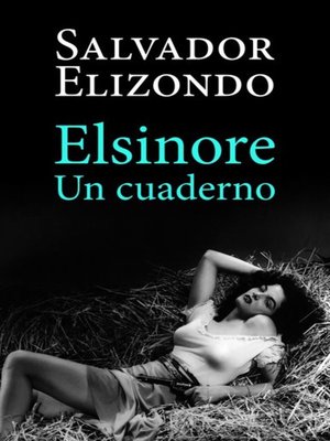 cover image of Elsinore